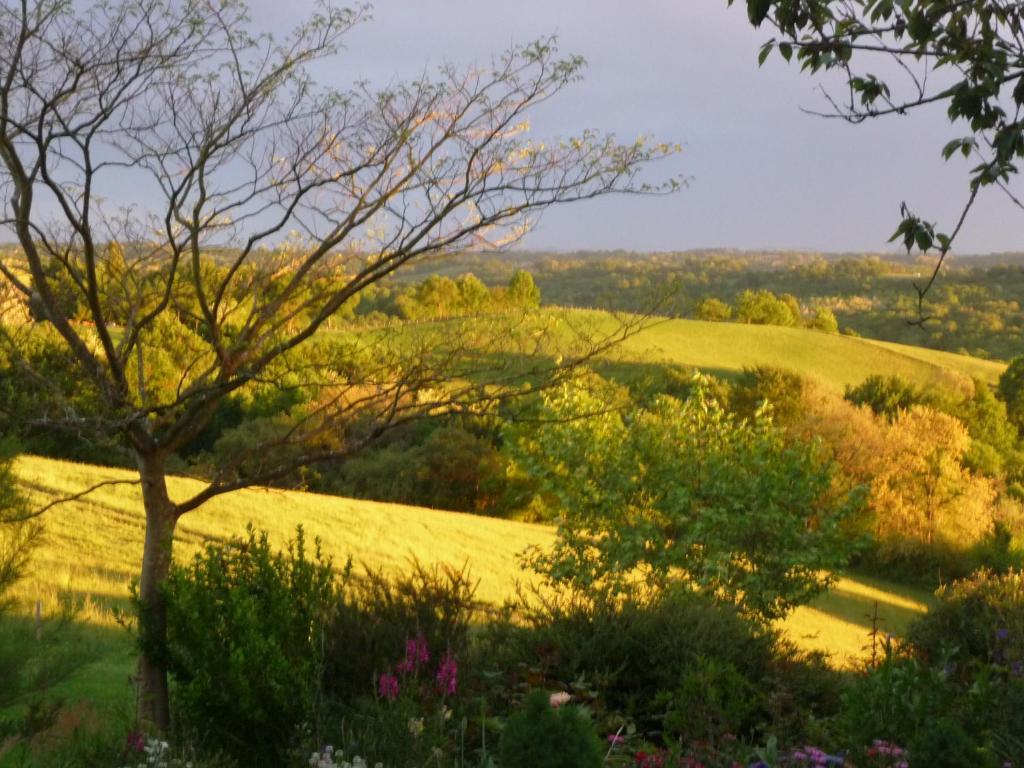 Maison Artigouha Bed & Breakfast Loubieng Eksteriør bilde