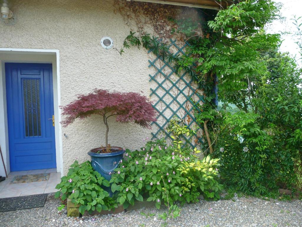 Maison Artigouha Bed & Breakfast Loubieng Eksteriør bilde